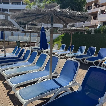 Daire Albatros Oasis Park Ocean, Teide View, Heated Swimming Pool San Miguel de Abona