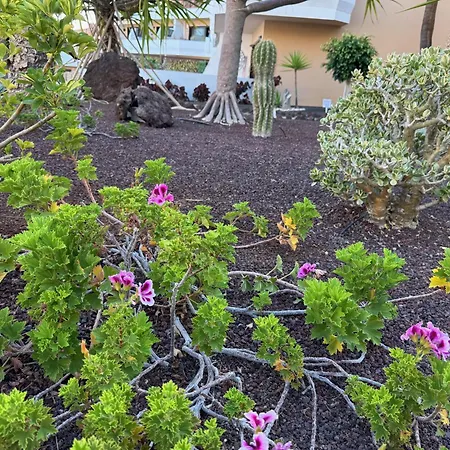 Albatros Oasis Park Ocean, Teide View, Heated Swimming Pool Daire San Miguel de Abona