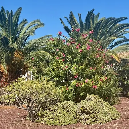 Albatros Oasis Park Ocean, Teide View, Heated Swimming Pool *